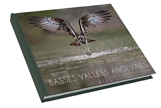 livre basses vallées angevin