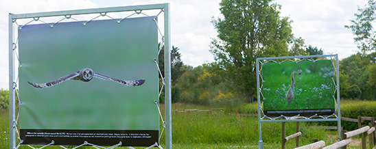 exposition
